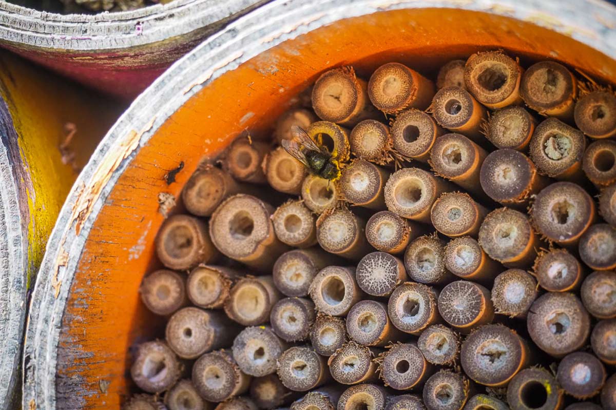 camping proche nature lot